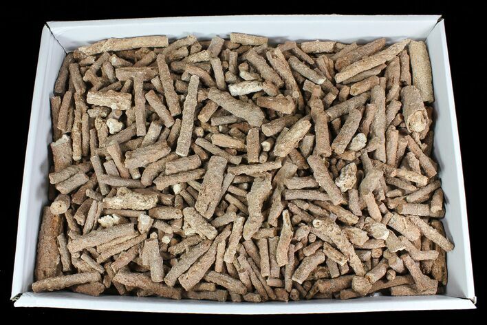 - Fulgurites (Petrified Lightning) Wholesale Lot ~ Pieces #76036